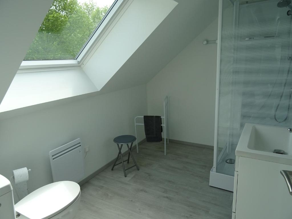 a bathroom with a toilet and a sink and a window at LA COURTEILLE in Saint-Fraimbault-sur-Pisse