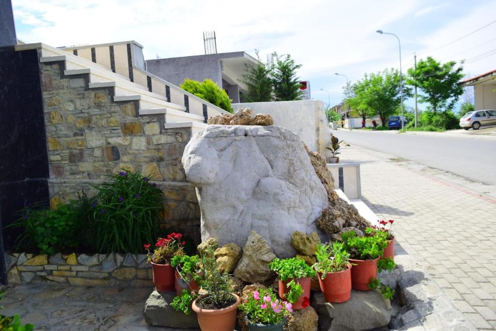 Zahrada ubytování Hotel Latifi