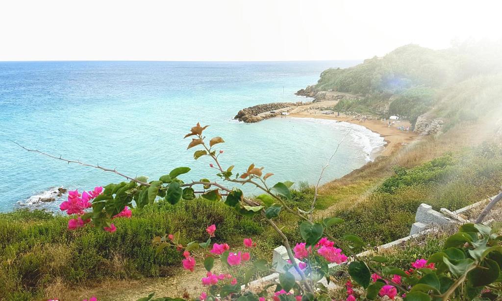 - une vue sur une plage avec des fleurs roses sur une colline dans l'établissement villini TotoeNita n 1 loc Capo Bianco di Capo Rizzuto, à Capo Rizzuto