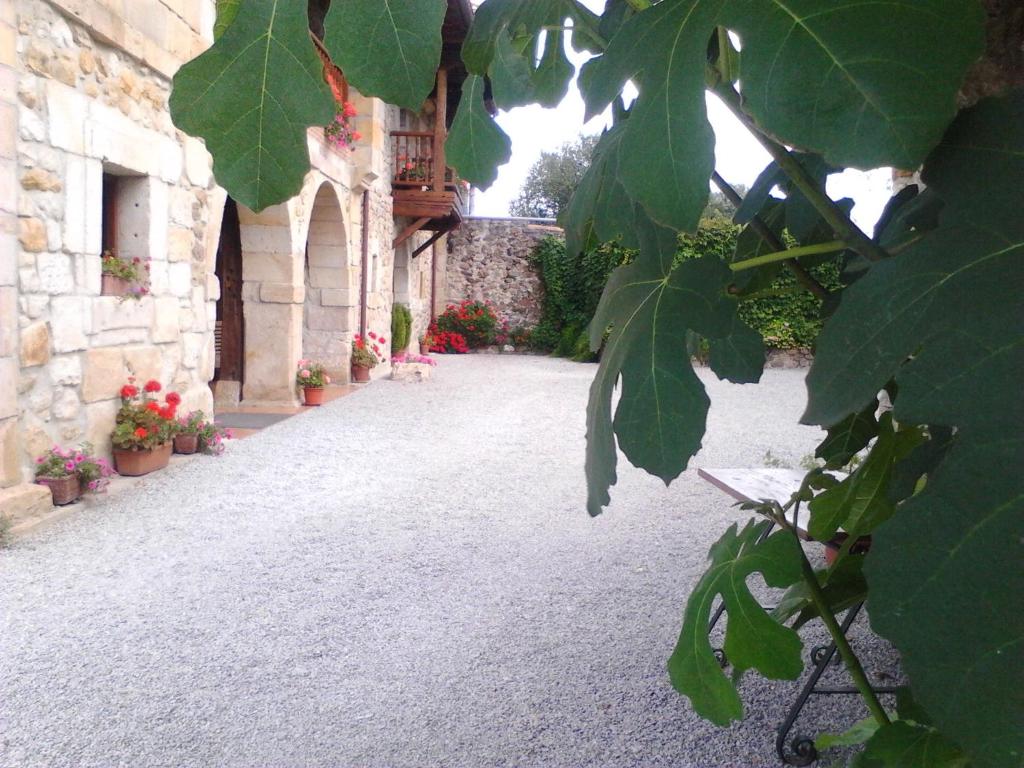 Zahrada ubytování La Posada de Maria