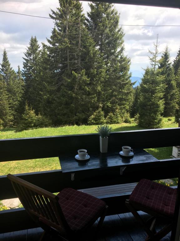 Příroda nedaleko apartmánu