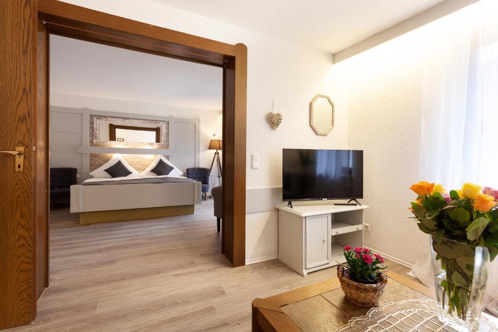 TV a/nebo společenská místnost v ubytování Hotel Petra