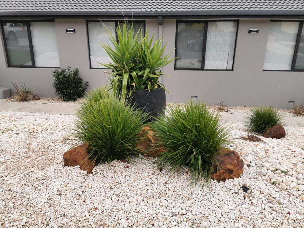 Youngtown Executive Apartments - 2BR included, Free Parking & Wifi, Sofa Bed & Cot fee applies photo