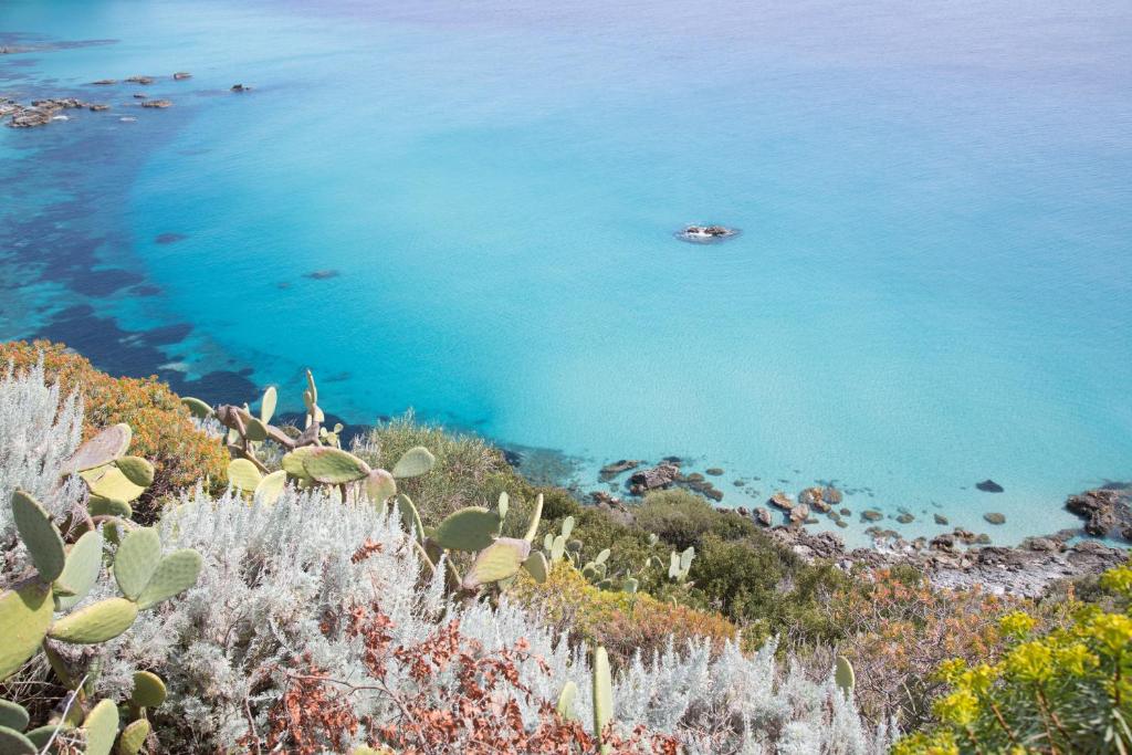 a view of the ocean from a hill with cactus at Hotel Santa Chiara in Capo Vaticano