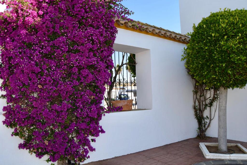 Jardín al aire libre en Puerta de Algadir