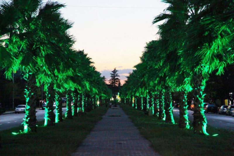 Zahrada ubytování Green Palma