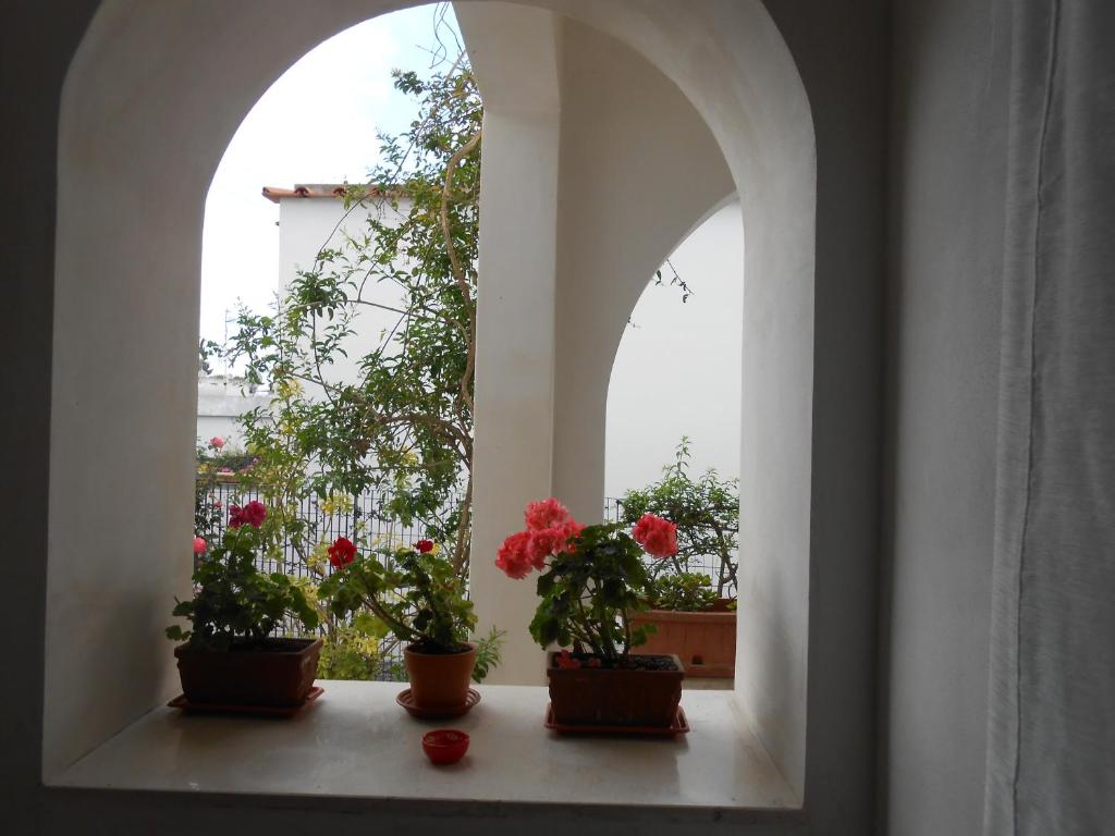 an arched window with potted plants on a window sill at La Casa Di Massimiliano - Villa del Sole in Capri
