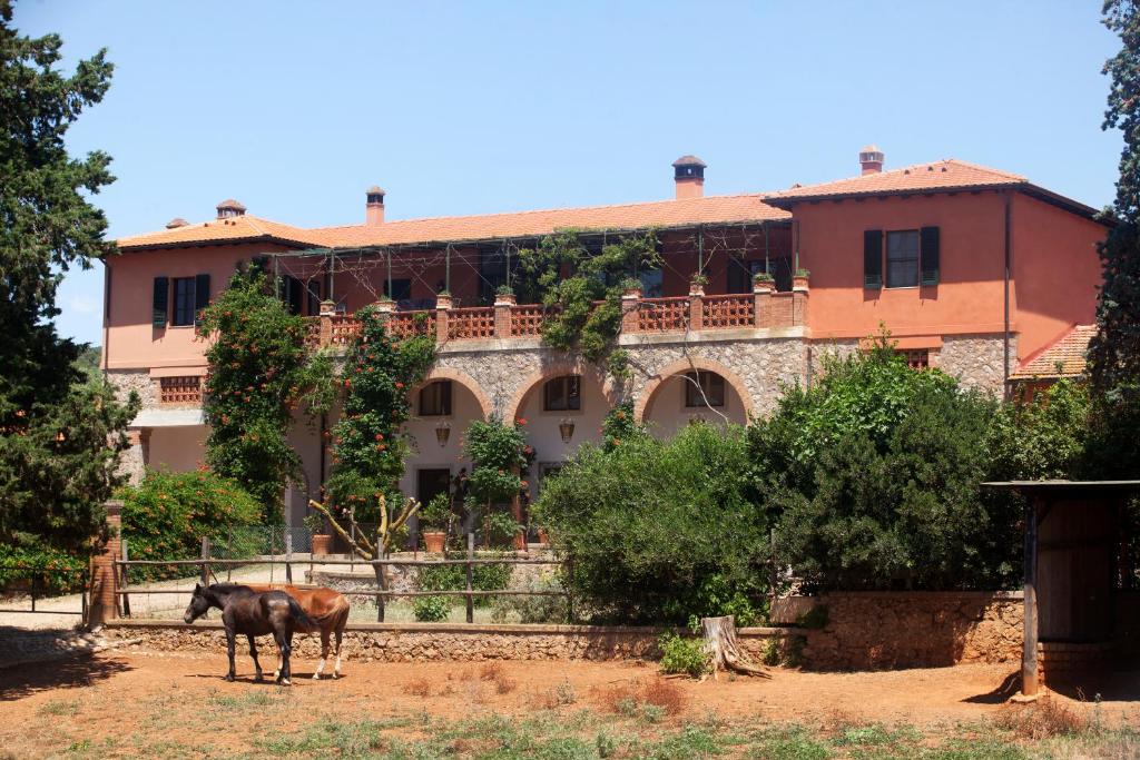un cheval debout devant un grand bâtiment dans l'établissement Agriturismo Grazia, à Orbetello