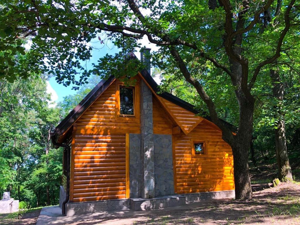 a log cabin in the woods with a tree at Brvnara Vršac in Vršac