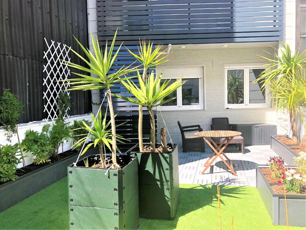 4 Apartamentos de Autor - 17