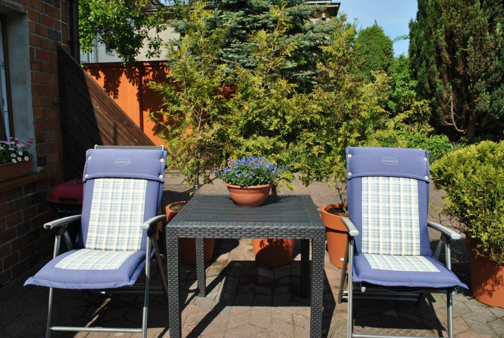dwa krzesła i stół z rośliną na patio w obiekcie Apartament Baltyk Kołobrzeg w Kołobrzegu
