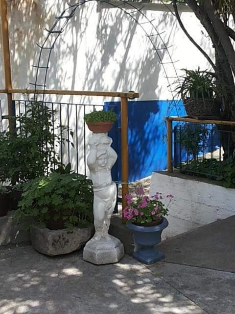 Zahrada ubytování Hostel -Sema