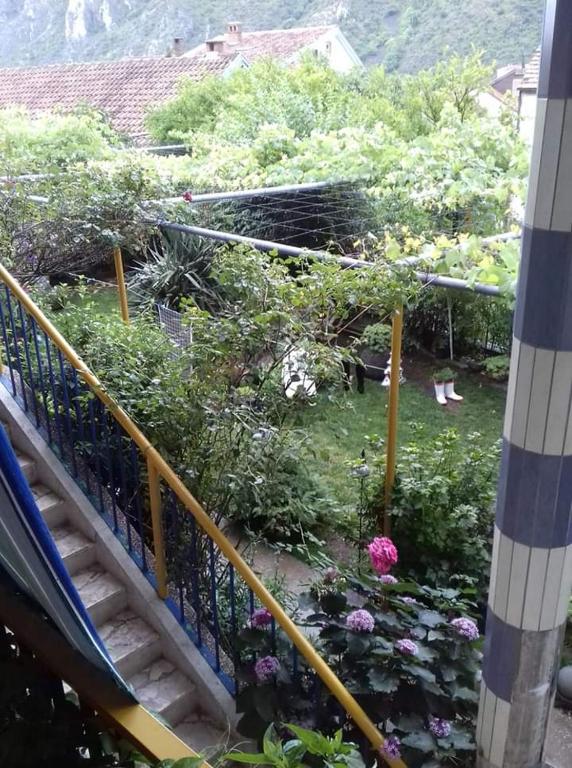 Zahrada ubytování Hostel -Sema