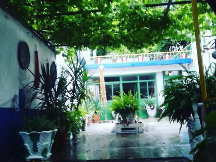 Zahrada ubytování Hostel -Sema