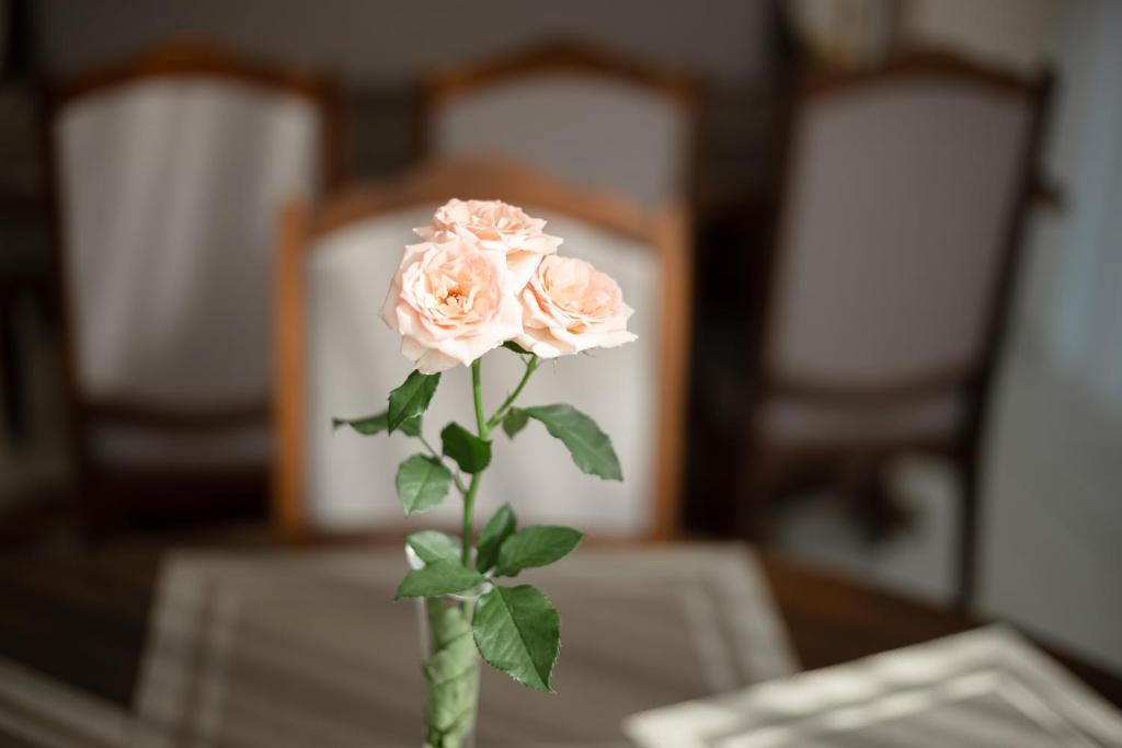 Postel nebo postele na pokoji v ubytování Carparosa Hotel
