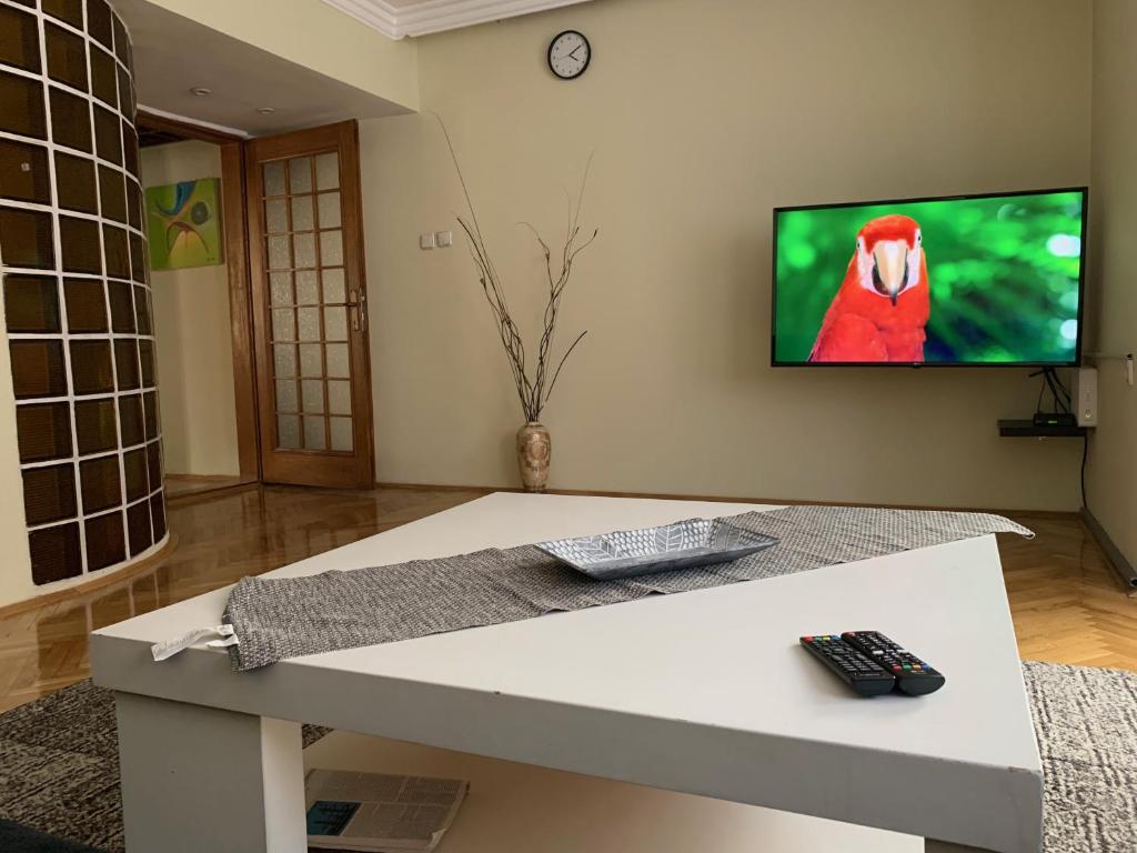 a living room with a tv with a parrot on the wall at Central apartment with city view in Prizren