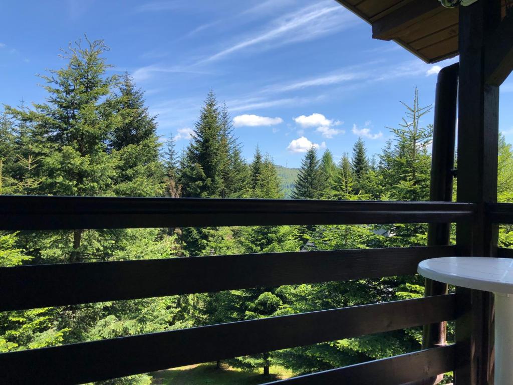 Príroda v okolí horskej chaty
