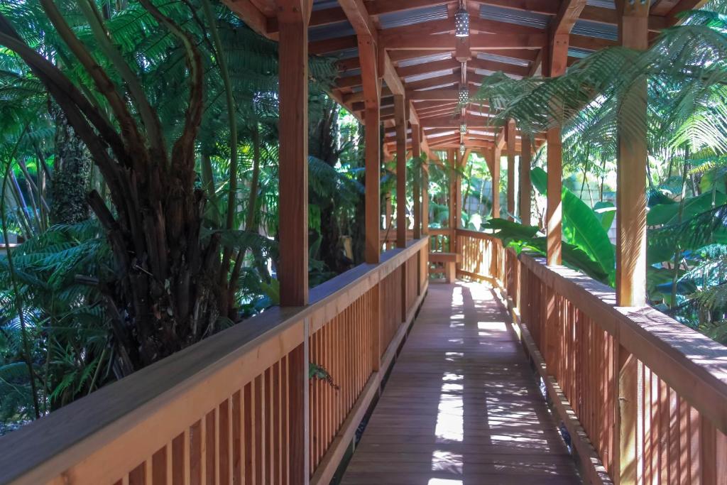 a wooden walkway through a forest with palm trees at At the Craters Edge in Volcano