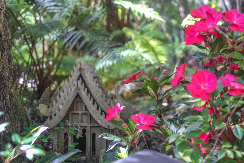 a small house in a garden with pink flowers at At the Craters Edge in Volcano