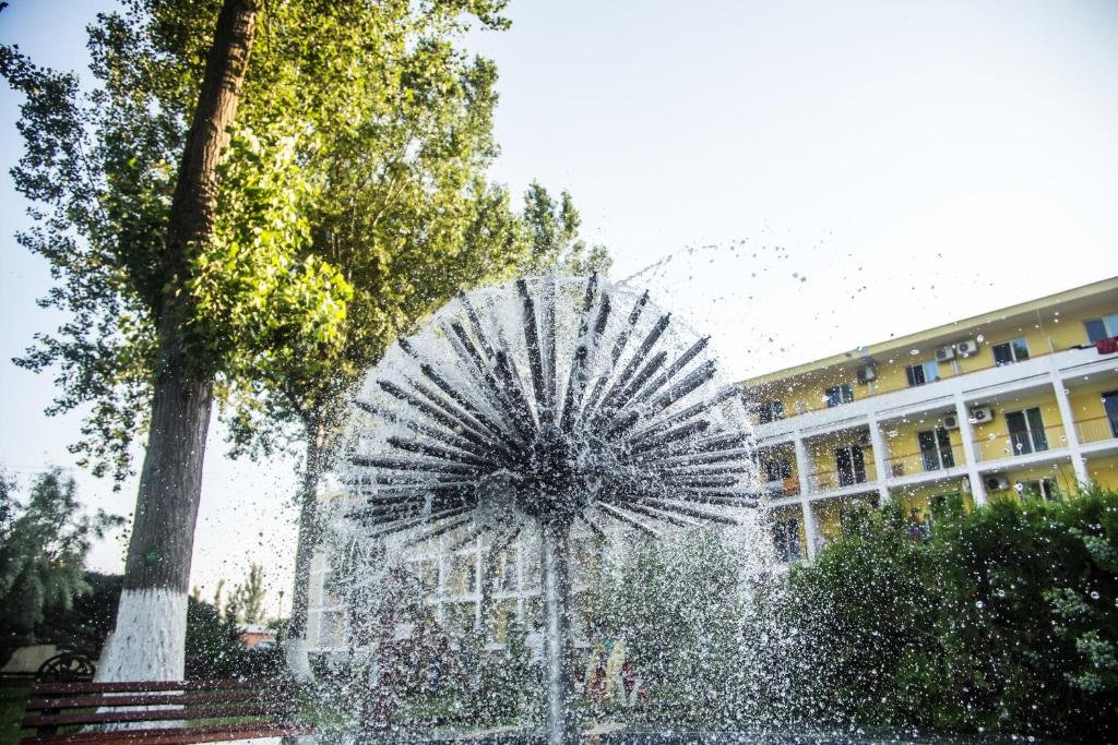 Zahrada ubytování Hotel Central