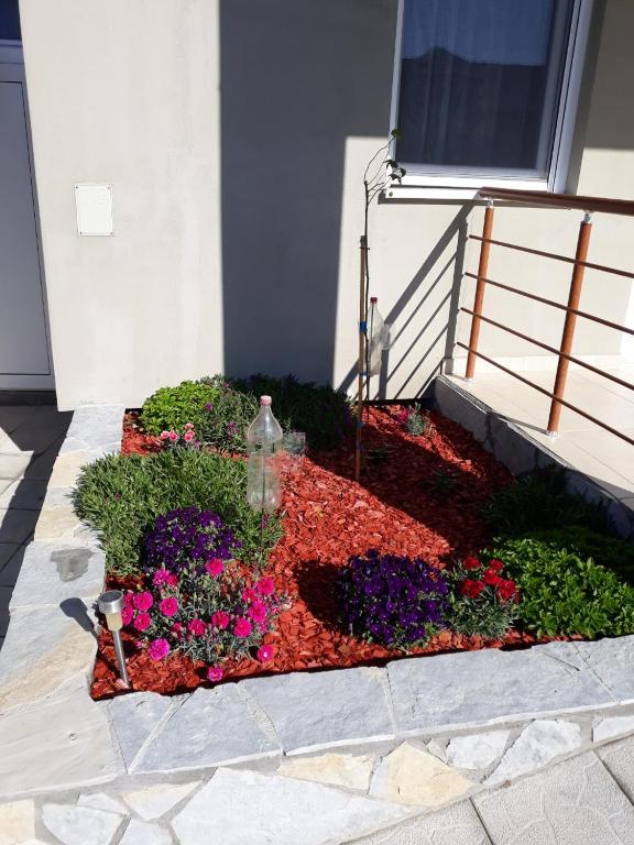 Zahrada ubytování Simića ćoše
