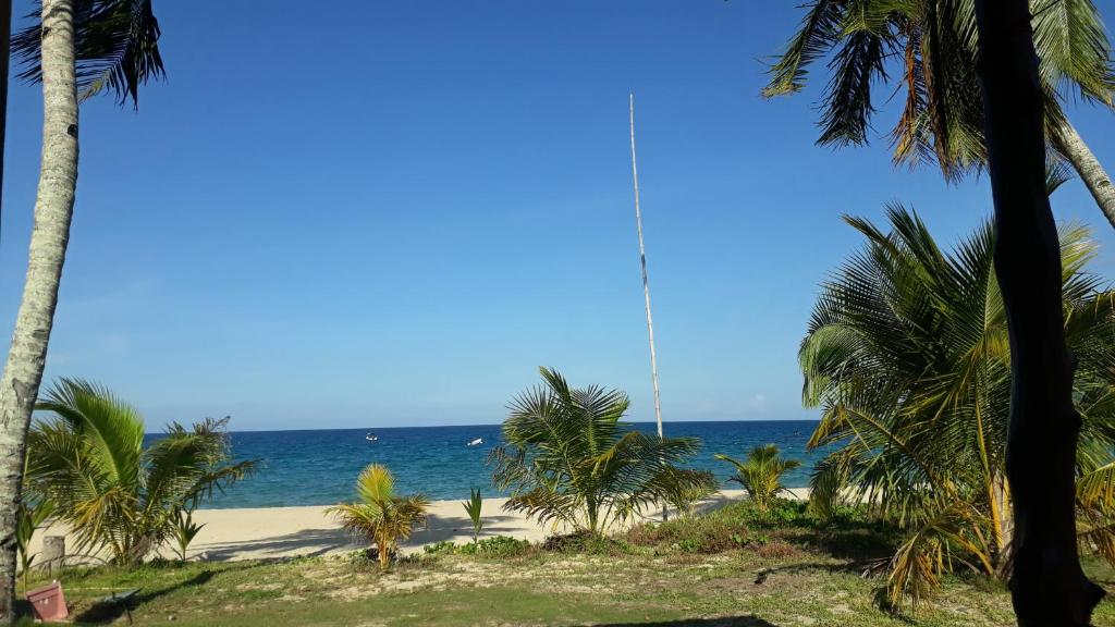 einen Strand mit Palmen und dem Meer in der Unterkunft juara seaview chalet, kampung juara in Kampong Juara