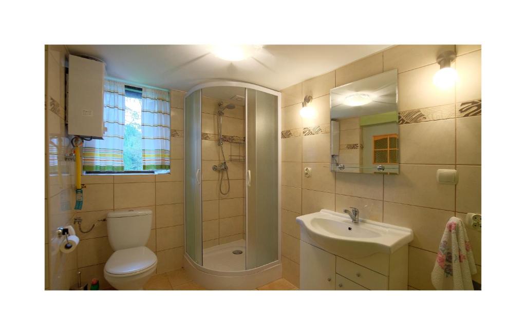 een badkamer met een toilet, een douche en een wastafel bij Zacisze in Hołuczków