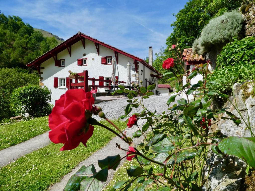 una flor roja delante de una casa en Chambres d'Hôtes Agorerreka en Saint-Étienne-de-Baïgorry