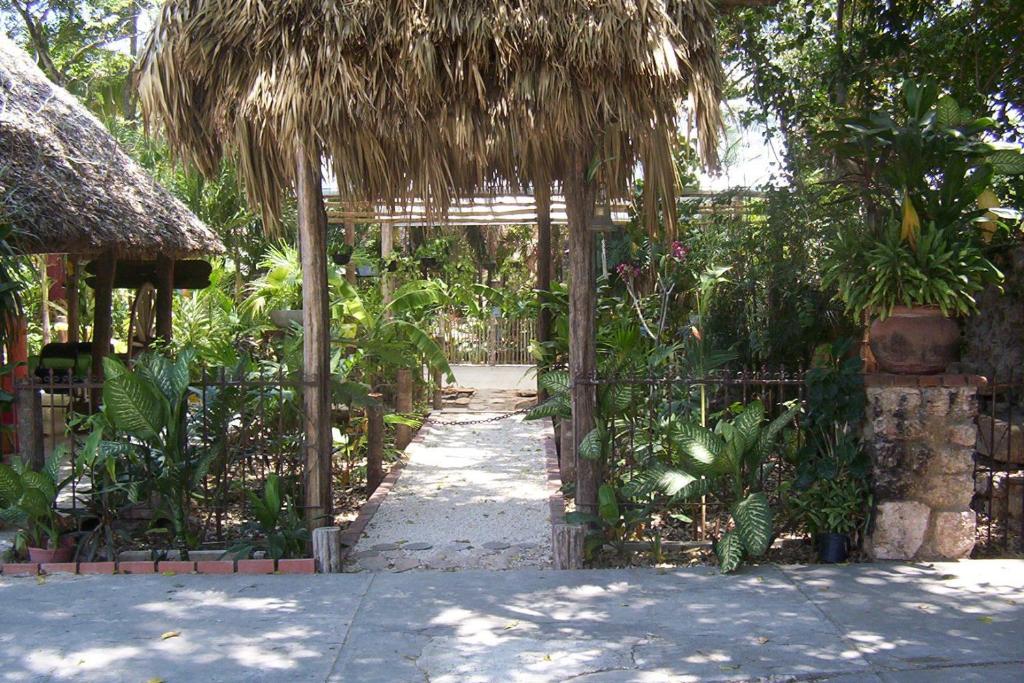 Zahrada ubytování Posada El Jardin