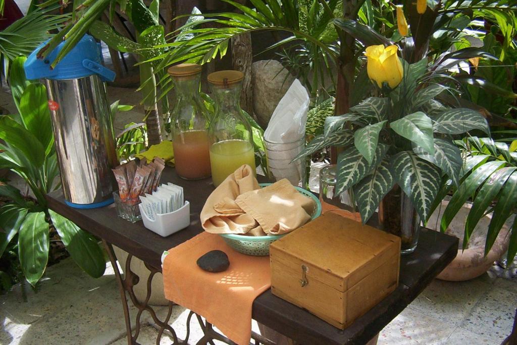 Zahrada ubytování Posada El Jardin