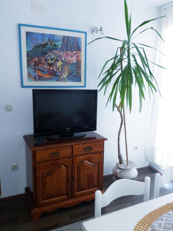 TV a/nebo společenská místnost v ubytování Apartman Kristin
