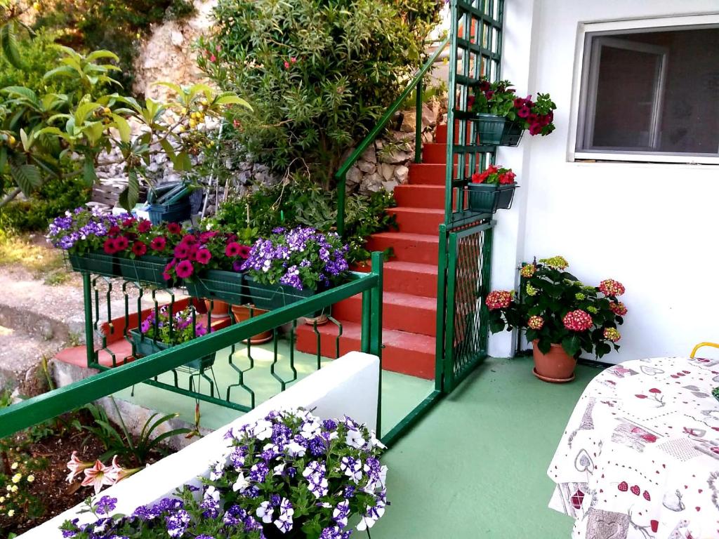 Zahrada ubytování Apartman Kristin