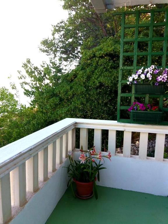 Balkón nebo terasa v ubytování Apartman Kristin