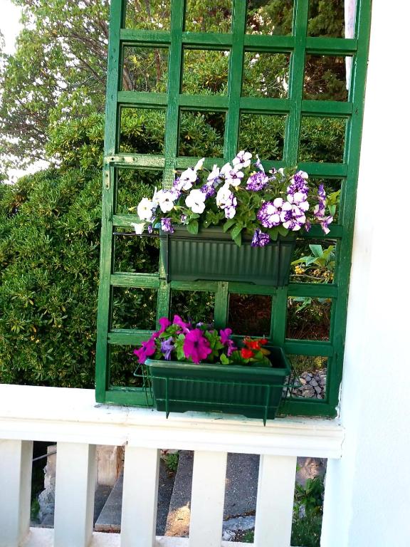 Zahrada ubytování Apartman Kristin