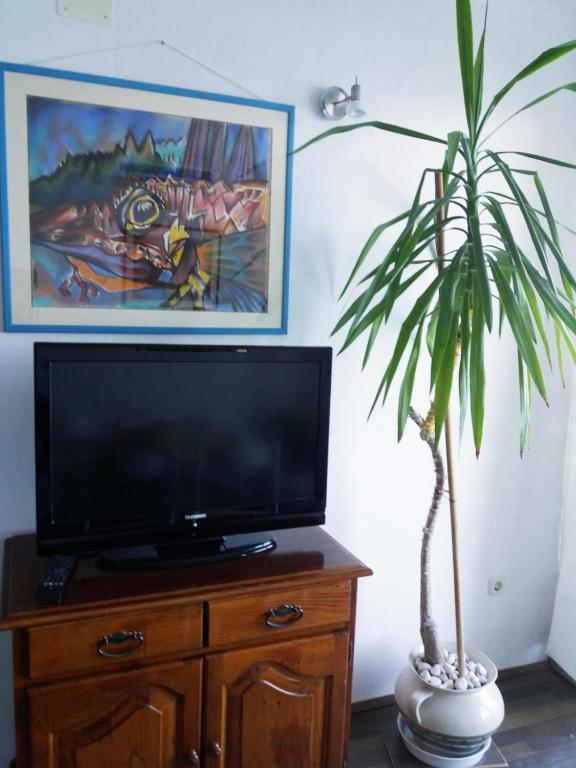 TV a/nebo společenská místnost v ubytování Apartman Kristin