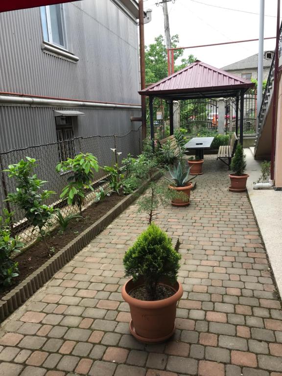 Zahrada ubytování Kobuleti Guest House chexov 24