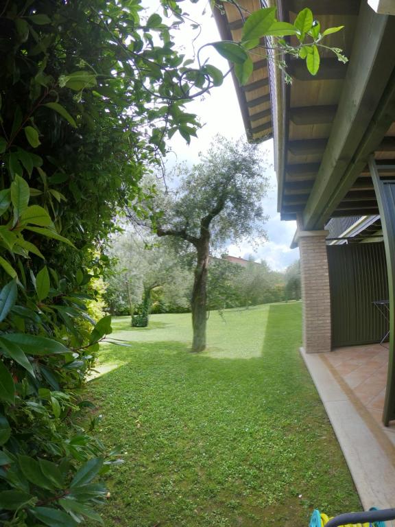 Zahrada ubytování Casa Gardenia