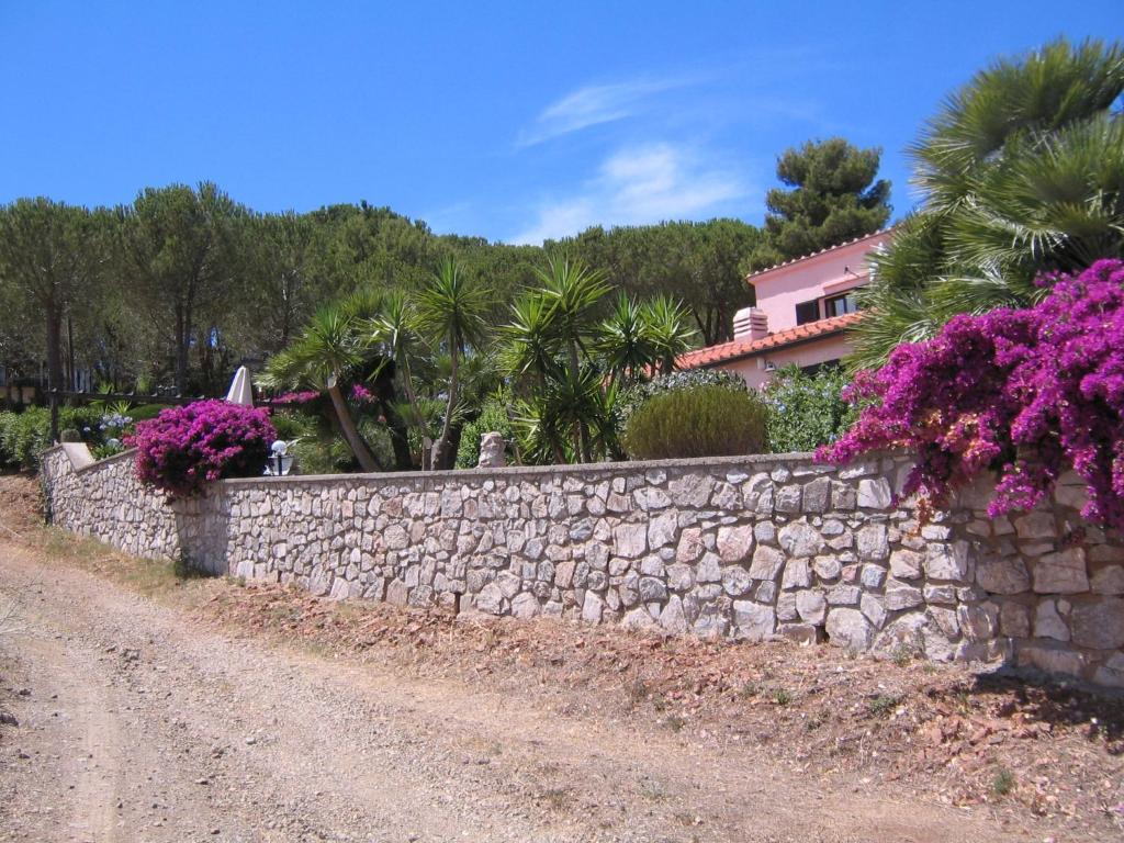 a stone wall next to a dirt road with purple flowers at Studio-Appartment in Landhaus mit Meerblick in Porto Azzurro