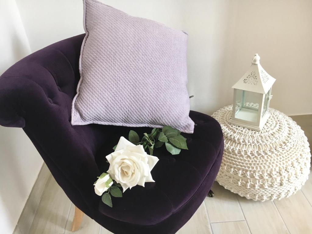 Alla Luce del Barocco - 2