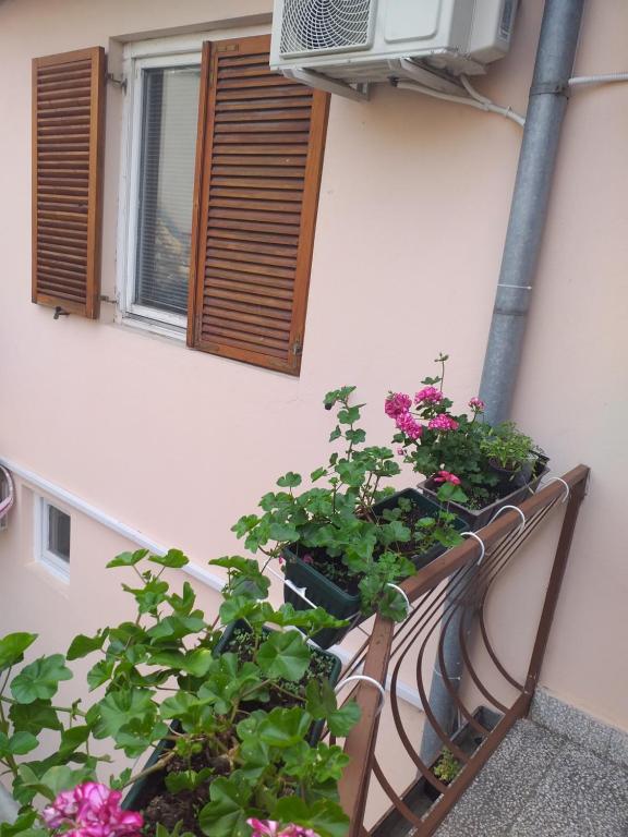Giardino di Hostel Corner 021