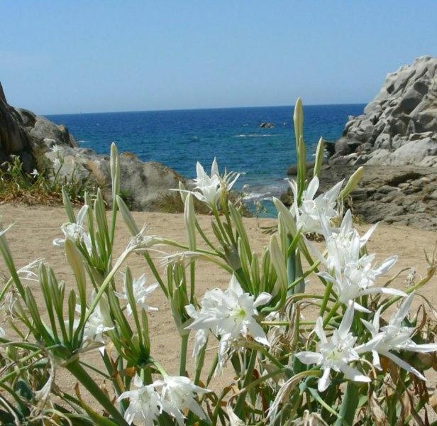 Táj Show holiday homes közelében