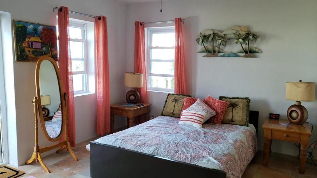 um quarto com uma cama e um espelho grande em Pauls Oceanview with Amazing Sunsets em Hog Bay