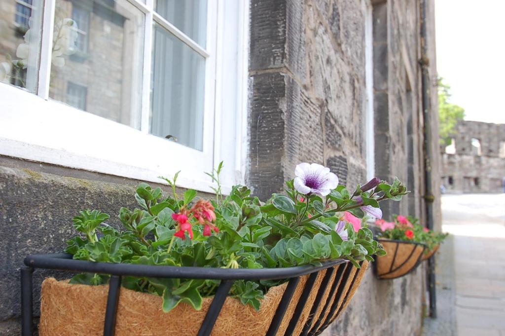 dos macetas de flores en el alféizar de una ventana con flores en Mar Apartment, en Stirling