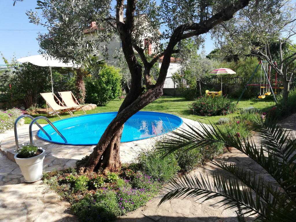 a swimming pool in a yard with a tree at Apartment Dignano in Vodnjan