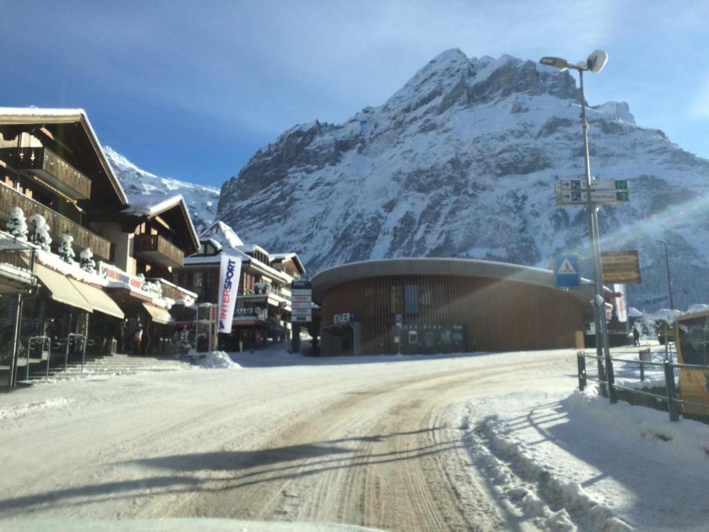 Üldine mäevaade või majutusasutusest Chalet CARVE - Apartments EIGER, MOENCH and JUNGFRAU pildistatud vaade