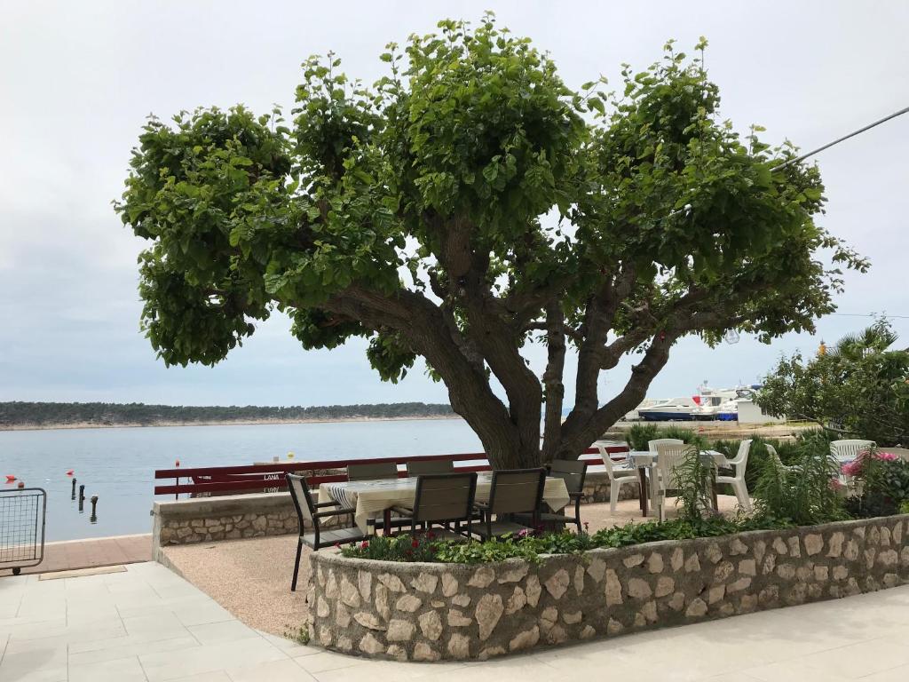 a tree sitting next to a bench next to the water at Apartment One in Rab