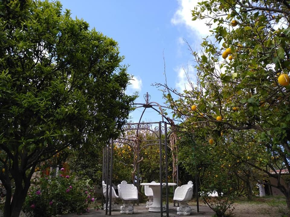 Zahrada ubytování Residence Limoneto Ischia