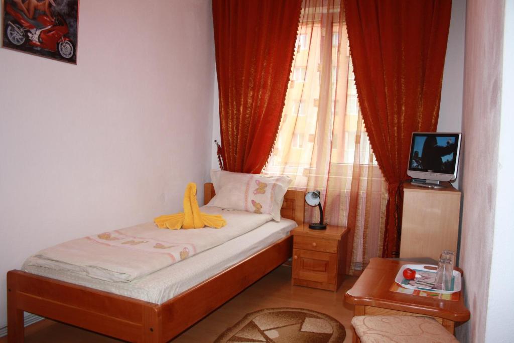 Pensiunea Claudiu - Habitación Individual