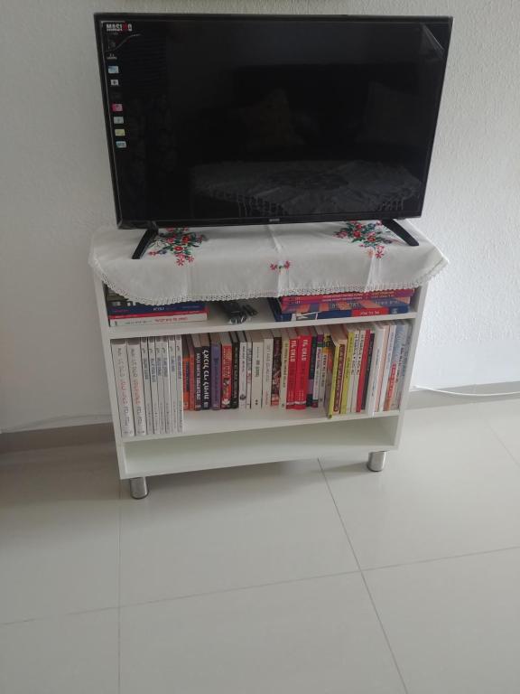 TV a/nebo společenská místnost v ubytování Apartment for relaxing and for health