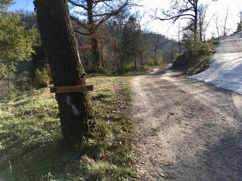 Příroda nedaleko venkovského domu